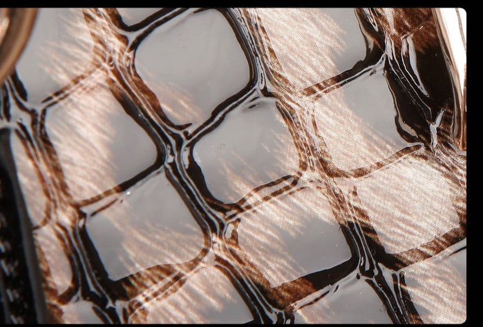 Dione leopard print handbag, trendy model, BEAUTIFUL AND UNIQUE